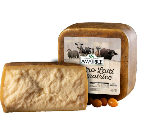 Formaggio Quattro Latti di Amatrice Forma intera 5,2 kg