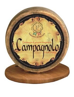Pecorino Campagnolo – Formaggio di Pecora Stagionato kg 0,50 circa