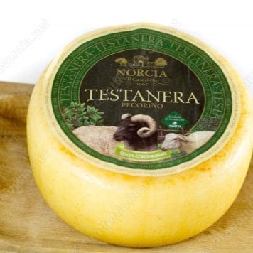 Pecorino Semistagionato Testa Nera  mezza forma da kg 0,85 ca