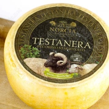 Pecorino Stagionato Testa Nera kg 2 ca
